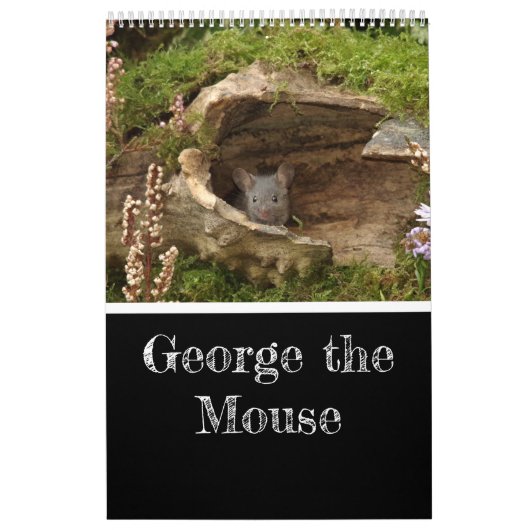 2024 George de muiskalender 24 Kalender (Hoes)