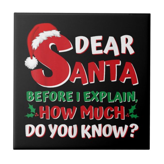 2024 Grappige Kerst Shirten Kinder Volwassenen San Tegeltje (Voorkant)