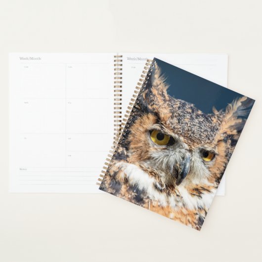 2024 Grote Gehoornde Uil Planner (Display)