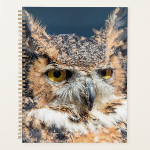 2024 Grote Gehoornde Uil Planner