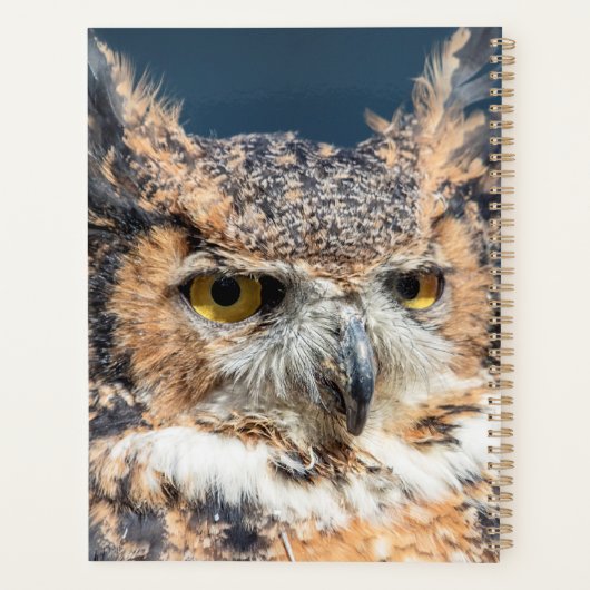 2024 Grote Gehoornde Uil Planner (Achterkant)