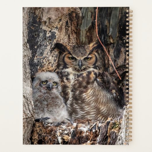 2024 Grote Gehoornde Uil Planner (Achterkant)