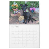 2024 Honden van de Oklahoma City Animal Shelter Kalender (Mar 2026)