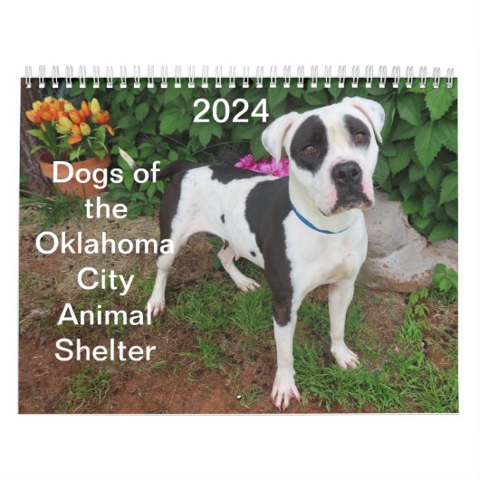 2024 Honden van de Oklahoma City Animal Shelter Kalender (Hoes)