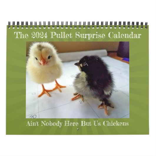 2024 Is niemand hier behalve ons kippen kalender (Hoes)