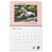 2024 Is niemand hier behalve ons kippen kalender (Feb 2026)