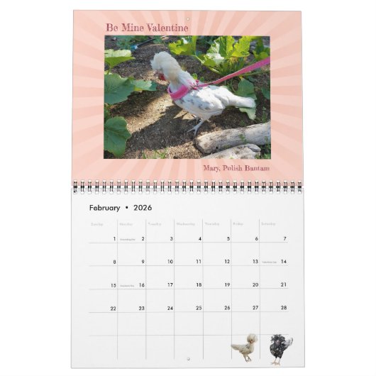 2024 Is niemand hier behalve ons kippen kalender (Feb 2026)