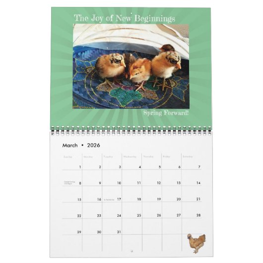 2024 Is niemand hier behalve ons kippen kalender (Mar 2026)