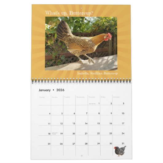 2024 Is niemand hier behalve ons kippen kalender (Jan 2026)