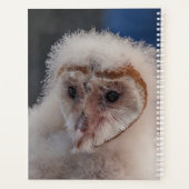 2024 Jonge schuur Uil Planner (Achterkant)