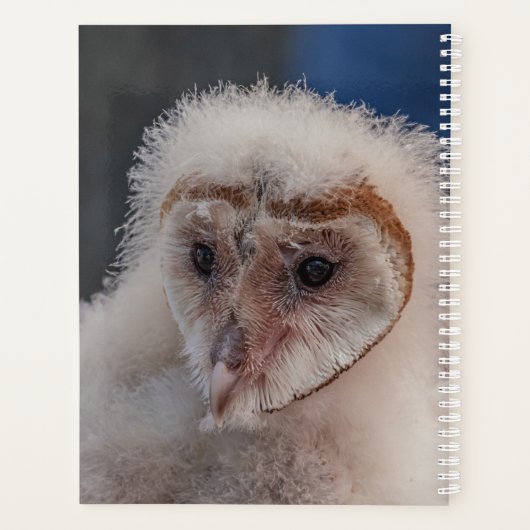 2024 Jonge schuur Uil Planner (Achterkant)