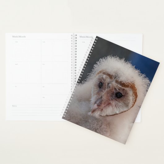 2024 Jonge schuur Uil Planner (Display)