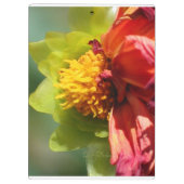 2024 JW year text Psalm 56:3  Klembord (Achterkant)