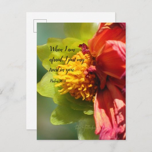 2024 JW year text Psalm 56:3 Uitnodiging Briefkaart (Voorkant / Achterkant)