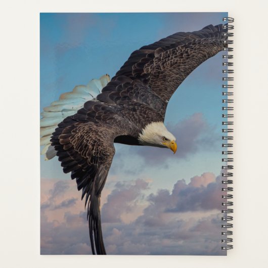 2024 Kale adelaar Planner (Achterkant)