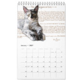 2024 Kalender Maine Coon katten & kittens, poëzie (Jan 2027)