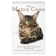 2024 Kalender Maine Coon katten & kittens, poëzie