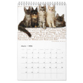 2024 Kalender Maine Coon katten & kittens, poëzie (Mar 2026)