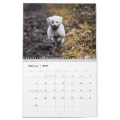 2024 Kalender Schattige Poodle Dog Afbeeldingen (Feb 2027)