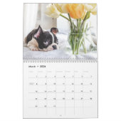 2024 Kalender Schattige Puppy - Aangepaste Fotokal (Mar 2026)