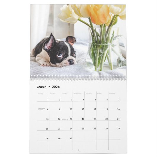 2024 Kalender Schattige Puppy - Aangepaste Fotokal (Mar 2026)