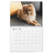2024 Kalender Schattige Puppy - Aangepaste Fotokal (Feb 2026)