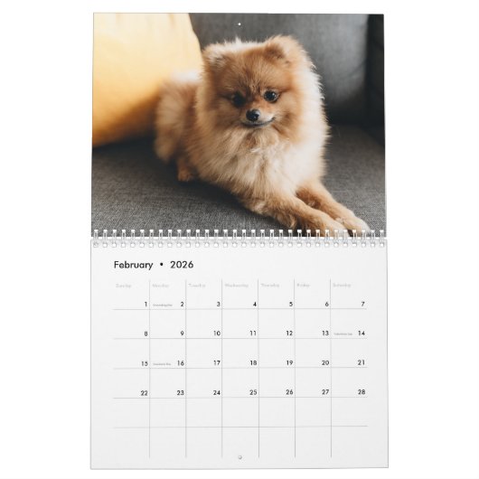2024 Kalender Schattige Puppy - Aangepaste Fotokal (Feb 2026)