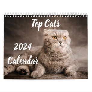 2024 Kalender Top Cats Nederland Evenementen & Fee