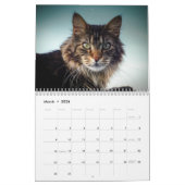 2024 Kalender Top Cats Nederland Evenementen & Fee (Mar 2026)
