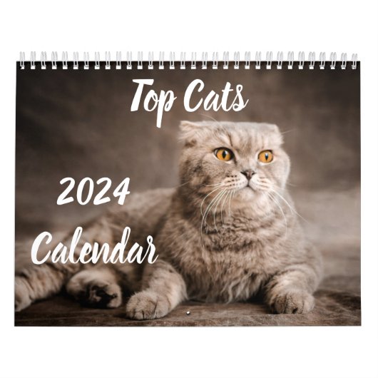 2024 Kalender Top Cats Nederland Evenementen & Fee (Hoes)