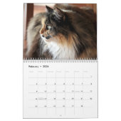 2024 Kalender Top Cats Nederland Evenementen & Fee (Feb 2026)
