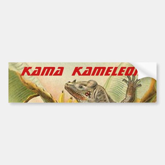 2024 KAMALA HARRIS kameleon CHAMELEON Lizard Bumpersticker (Voorkant)