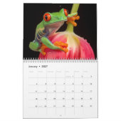 2024 Kikkergeliefden Kalender (Jan 2027)