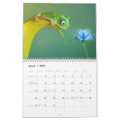 2024 Kikkergeliefden Kalender (Mar 2027)
