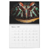 2024 Kikkergeliefden Kalender (Feb 2027)