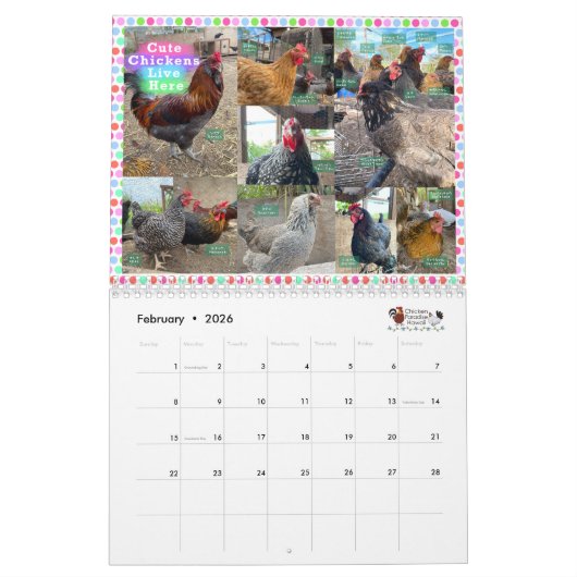 2024 Kippenparadijs Hawaii Kalender (Feb 2026)