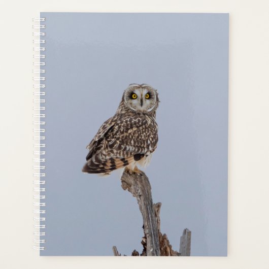 2024 Korte Owl Planner (Voorkant)