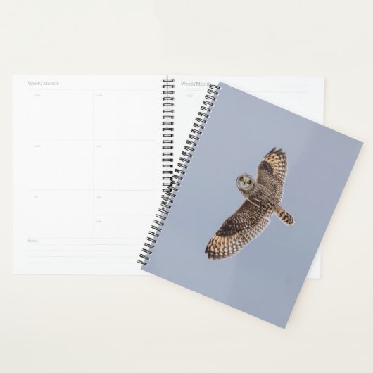 2024 Korte Owl Planner (Display)
