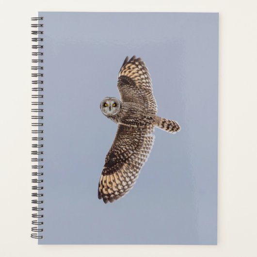 2024 Korte Owl Planner (Voorkant)