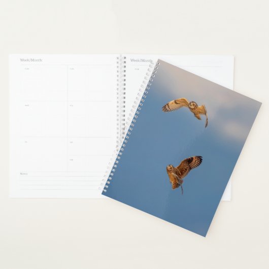 2024 Korte uilen Planner (Display)