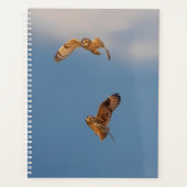 2024 Korte uilen Planner (Voorkant)