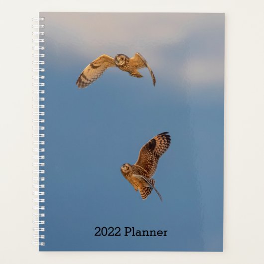 2024 Korte uilen Planner (Voorkant)
