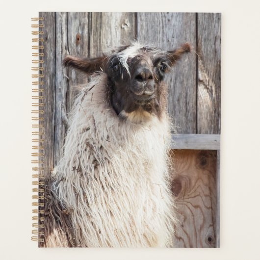 2024 Llama op het boerderij Planner (Voorkant)