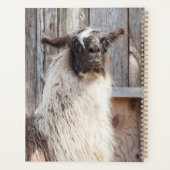 2024 Llama op het boerderij Planner (Achterkant)