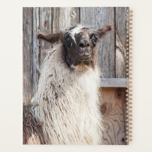 2024 Llama op het boerderij Planner (Achterkant)