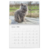 2024 Maandelijkse Muur Cat Kalender (Jan 2026)