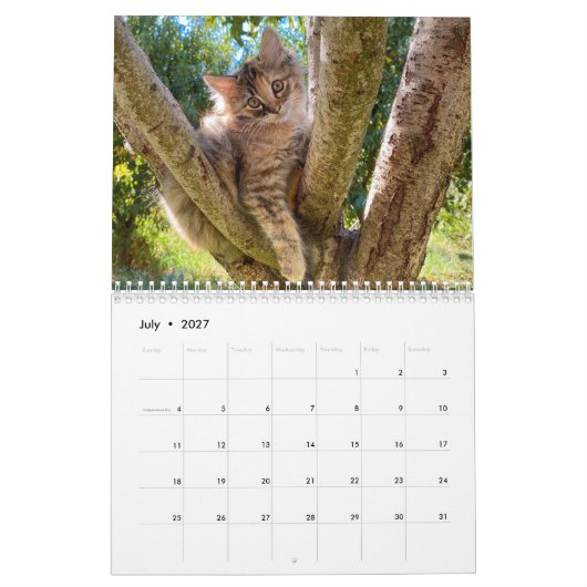 2024 Maandelijkse Muur Cat Kalender (Jul 2027)