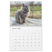 2024 Maandelijkse Muur Cat Kalender (Jan 2027)