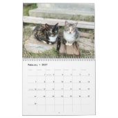 2024 Maandelijkse Muur Cat Kalender (Feb 2027)