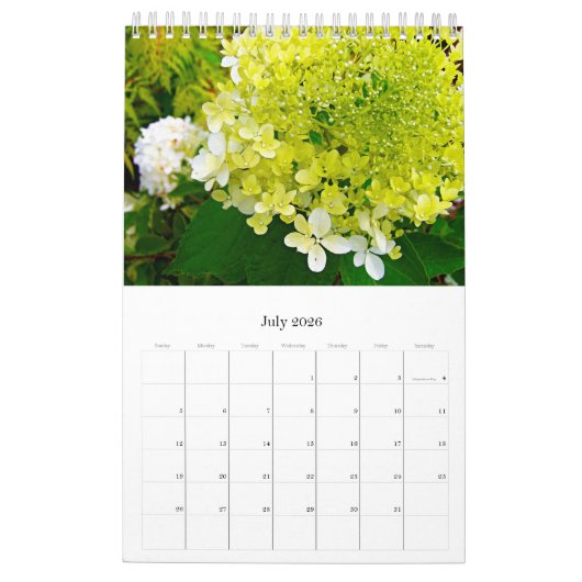 2024 Mijn Rubio Tuin Elegante Hortensia's Kalender (Jul 2026)